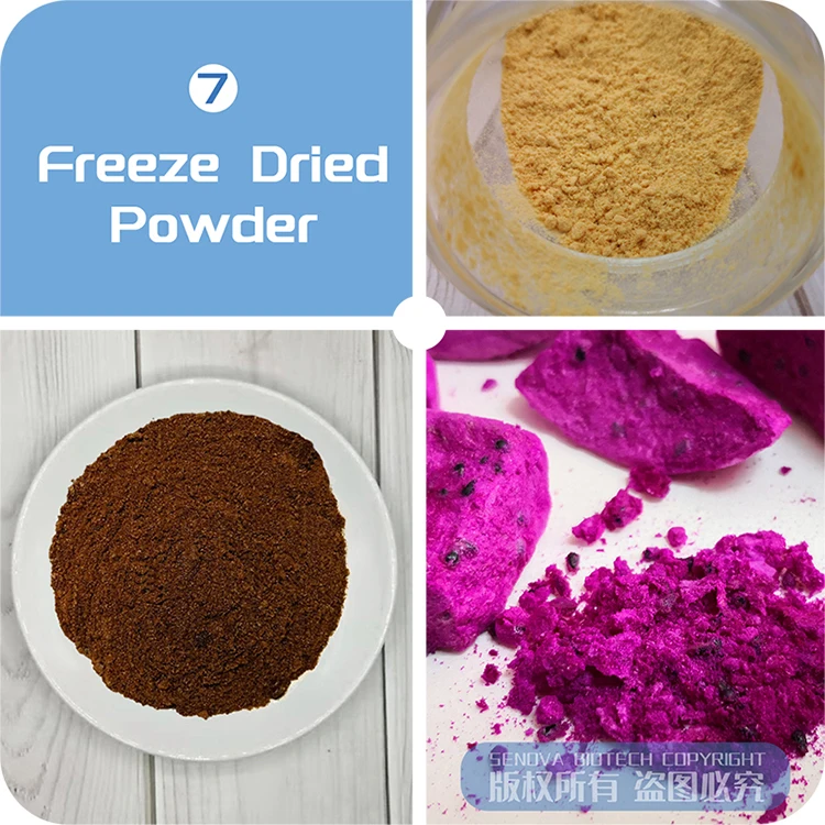 6Kg DIY Cheap Commercial Instant Coffee Dates Food Flower Lyophilizer Freeze Drier