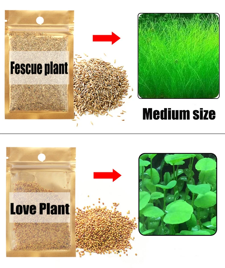 Quality Aquarium Aquatic Plants Aquarium Real Aquatic Plants