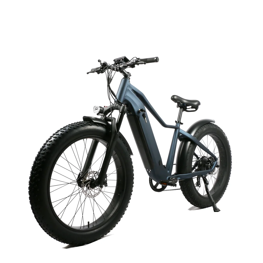 2025 Retro Style Fat Tire Full Suspension Electric Bike 52V 48V 500W/750W 1000W Motor kit Integrated Lithium Battery E bicycles
