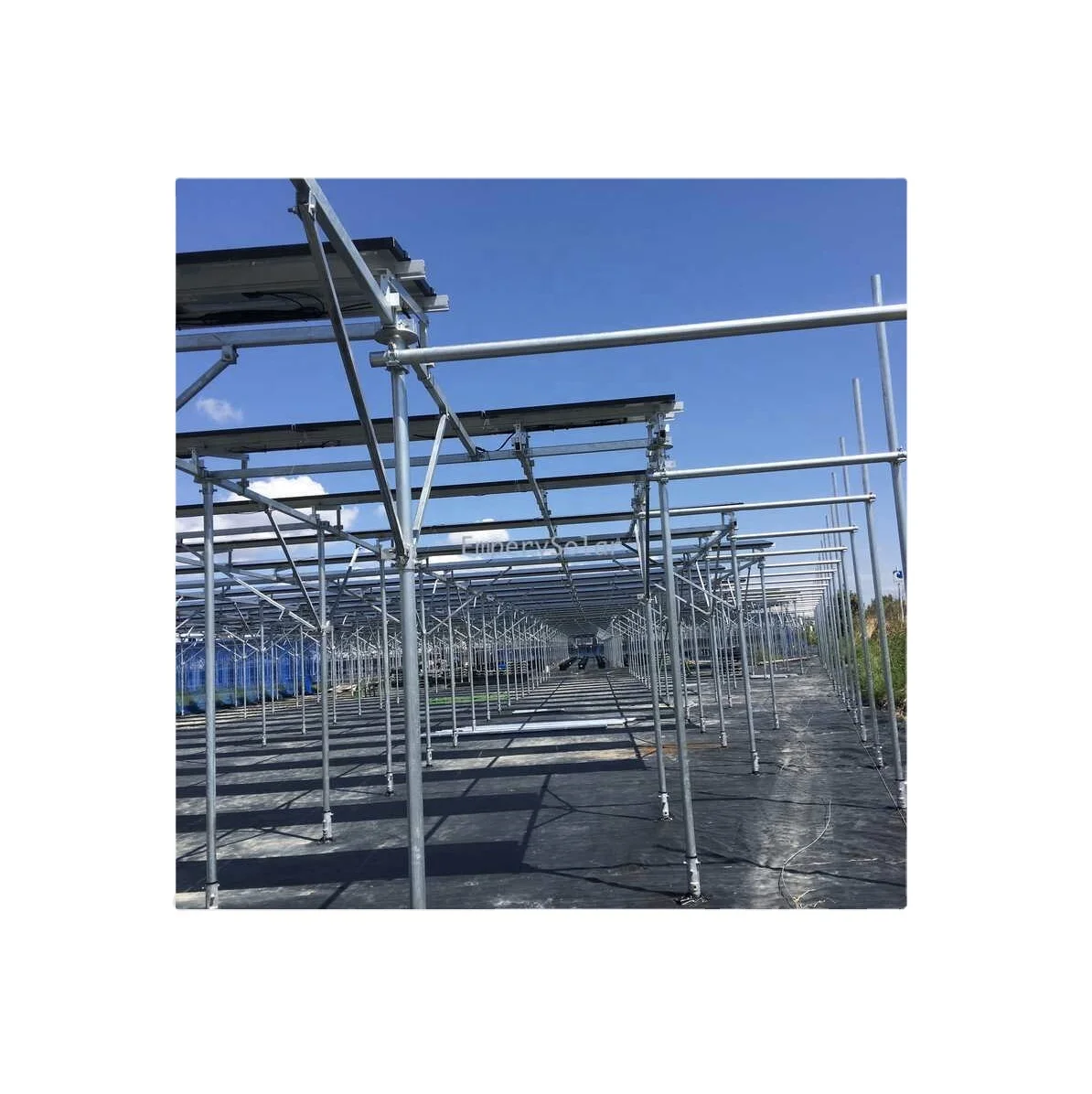 Agricultural Frame Solar Panel Farmland Mounting System Anodizing Sgs Xiamen 10 Years,other 20 Years Natural and Customized
