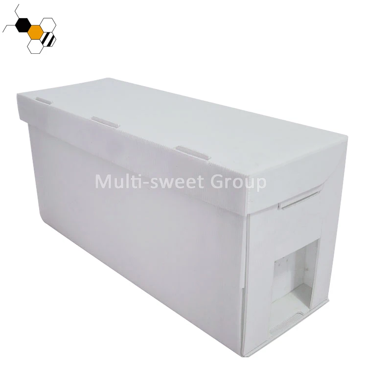 Polypropylene cardboard bee box 5 frames plastic nuc box suitable for dadant frame