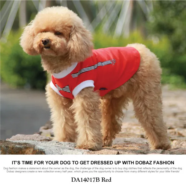 gentleman dog clothing korea