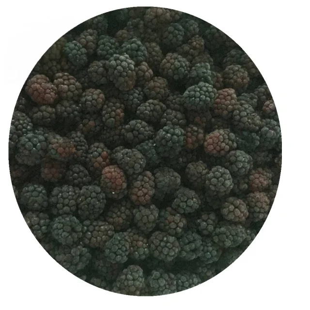 Organic IQF Frozen Blackberries: Bulk Wholesale Pulp From China