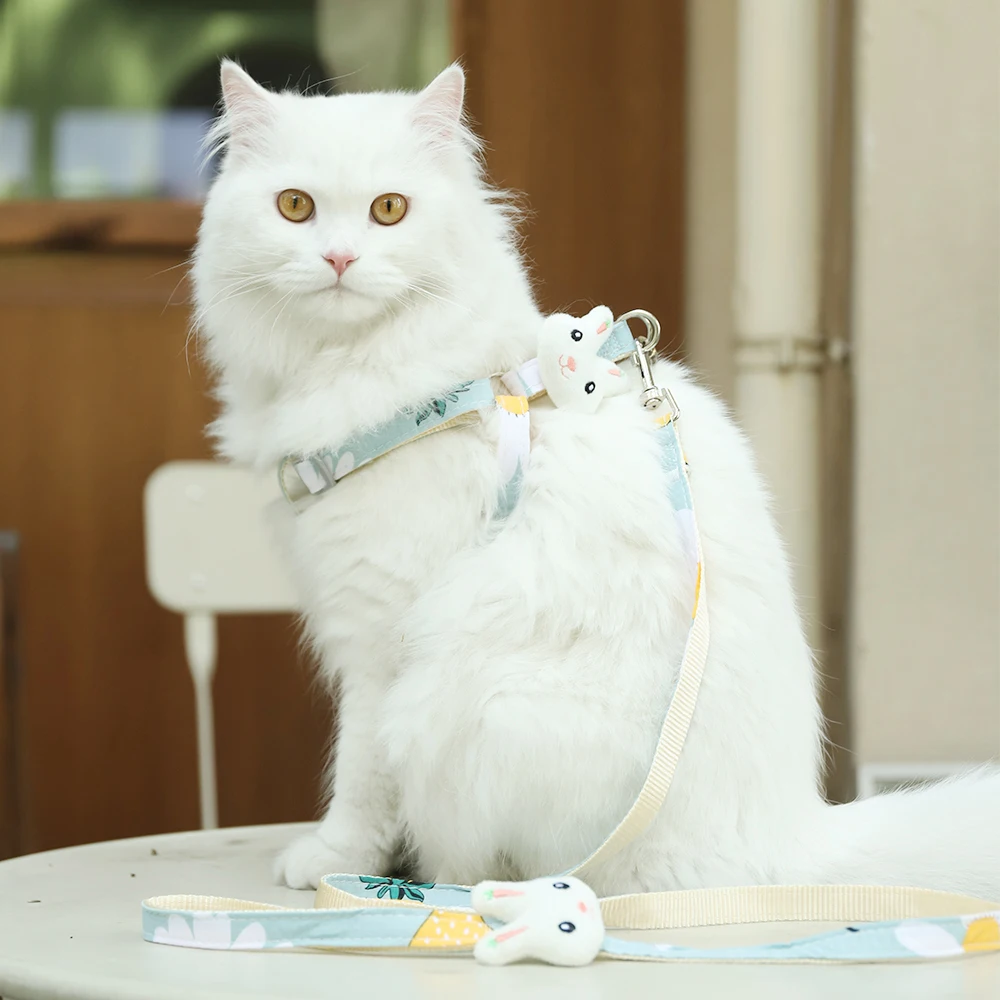 Factory Best Price Hoopet Comfortable Fit Escape-proof Small Dog Cat Chest Strap Harness And Leash Set