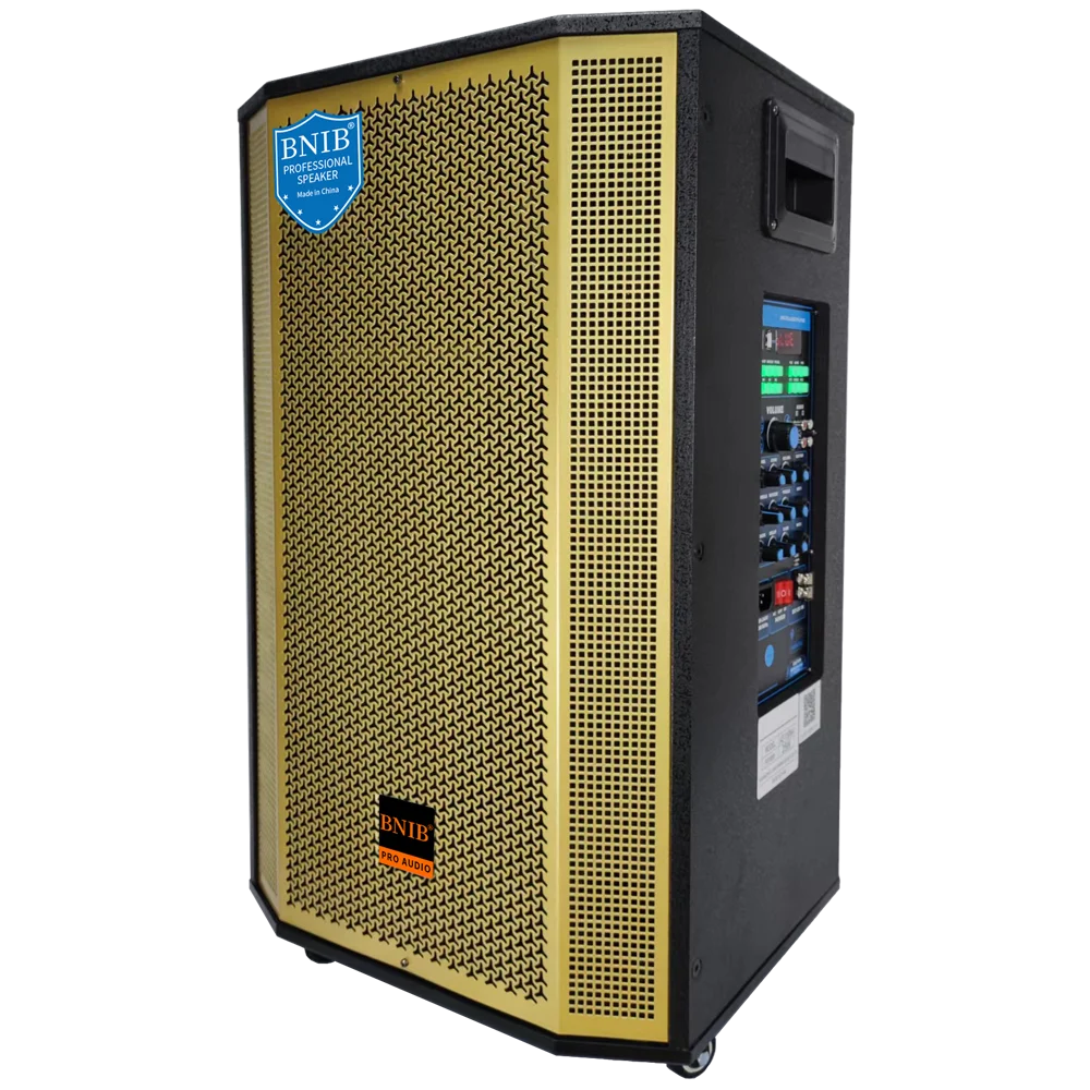 New 2022 Loa Bnib Powered Active Wooden Speakers 10 Inch Woofer Speaker Price Speaker Stage Wireless For Party