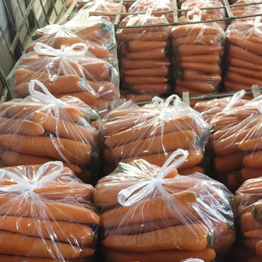 Professional Factory Offer Sell Fresh Organic Bulk Carrots