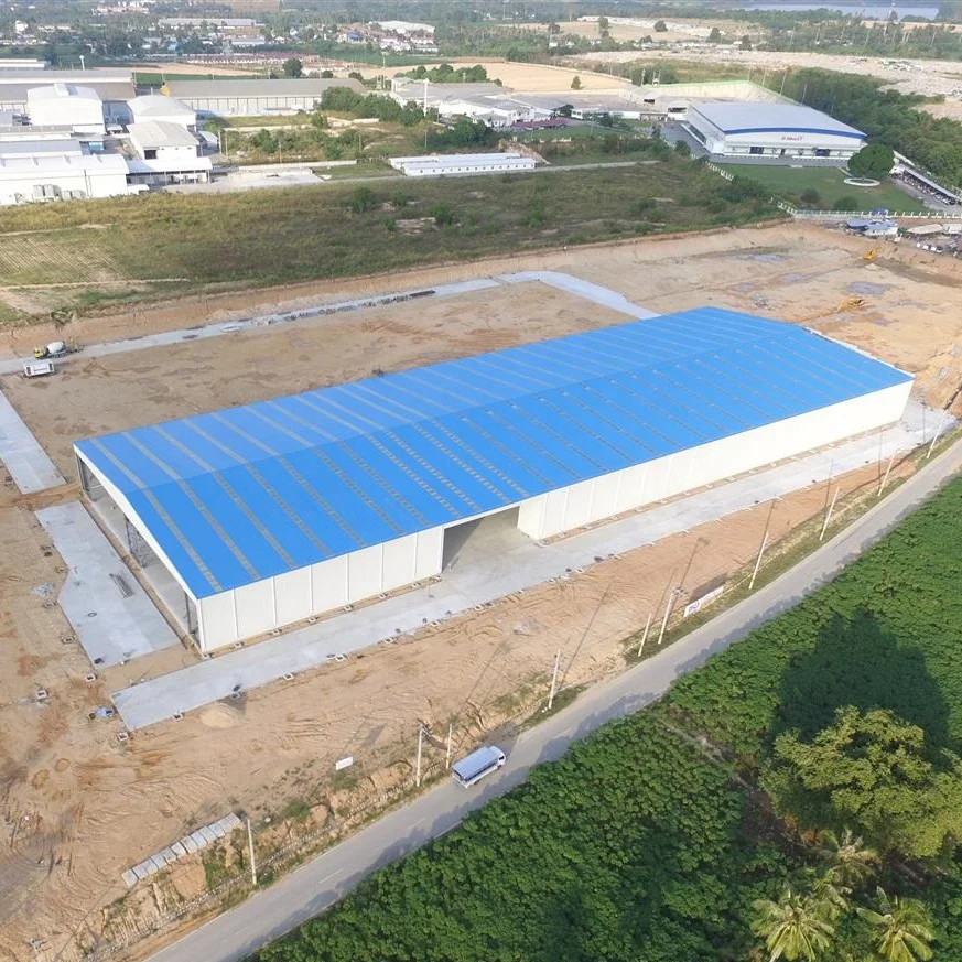 Professional Design China Factory Made Light Prefab Building Steel Structure Workshop