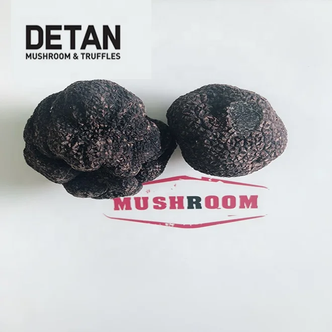 DETAN Китай экспортирует свежие трюфели и оптовые продажи.