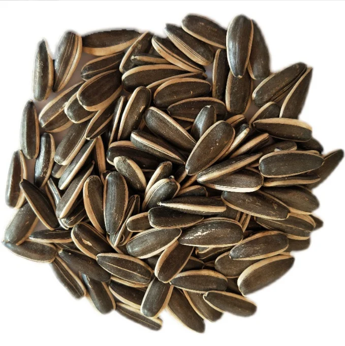 100% сырые семена подсолнечника, 361 обычных закусок для новых урожаев, экспорт семян подсолнечника для изготовления подсолнечного масла