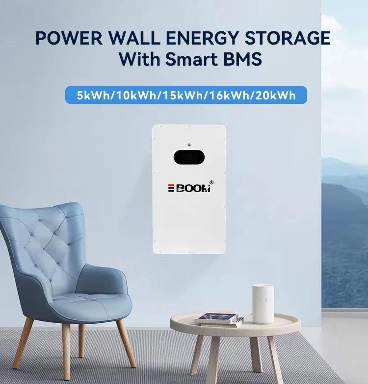 51.2 100Ah 200Ah Household Energy Storage System Lifepo4 Lithium-Ion Batteries 5kWh 10kWh ODM Protection 15A Built-in Boats