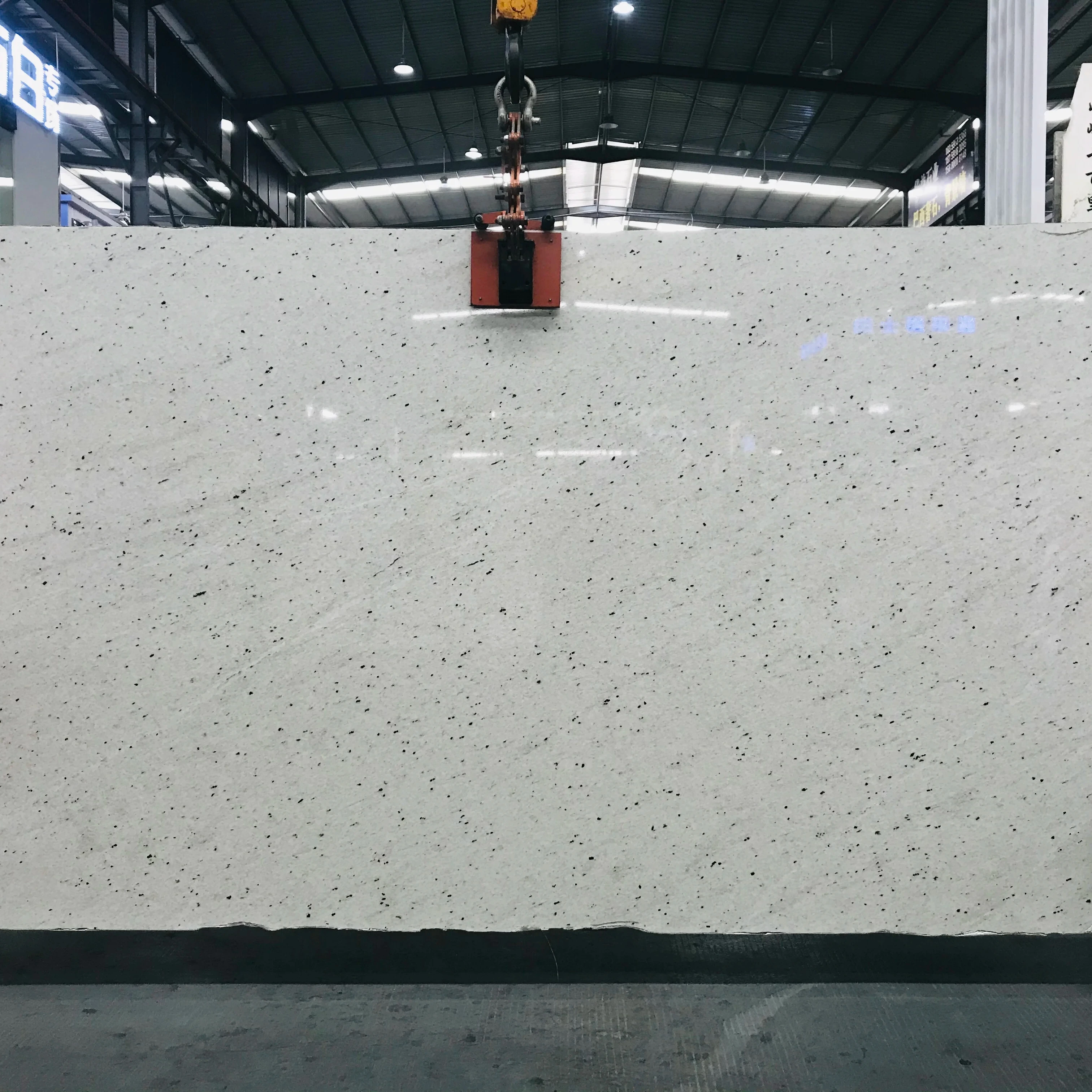 TMZ OEM/ODM Brazil High Quality Pitaya Granite White Granite Special Veins Granite for Countertops Tiles Slabs