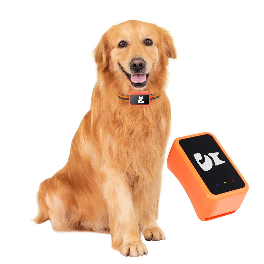 Factory OEM ODM G68P 4G Pet Dog Cat GPS Tracker Waterproof with Free APP Smart Collar Real Time Tracking Activity Monitoring Hot