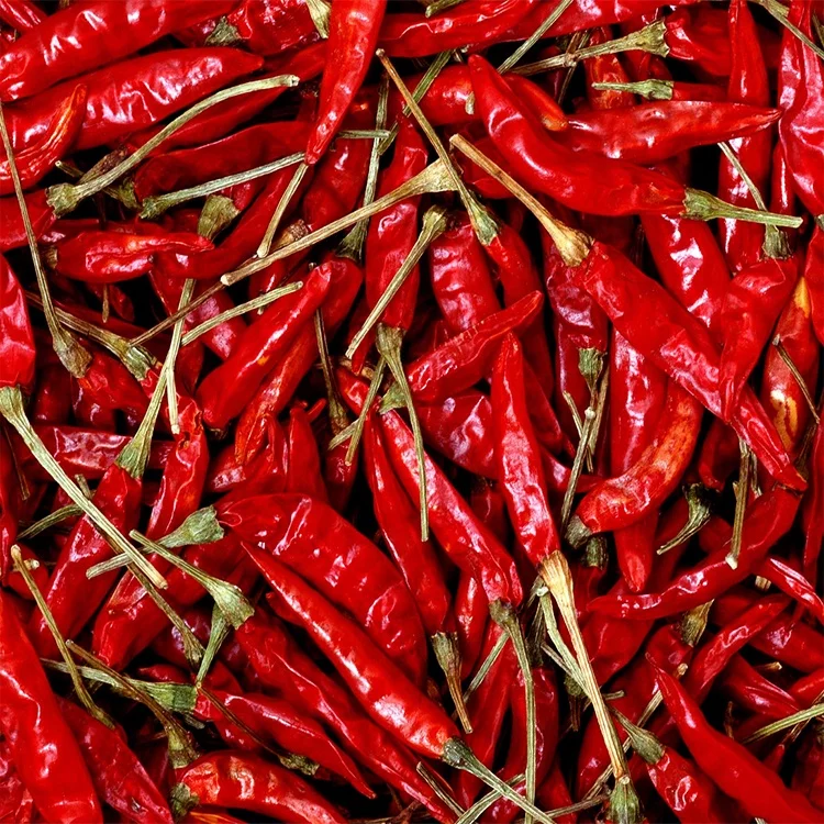 Guochen GC2030 Hot  promotion  fresh frozen  chili/pepper (stem/stemless)