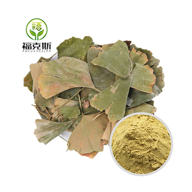 Manufacturer Supply Bulk Natural Organic Ginkgo Biloba Leaf Extract Powder