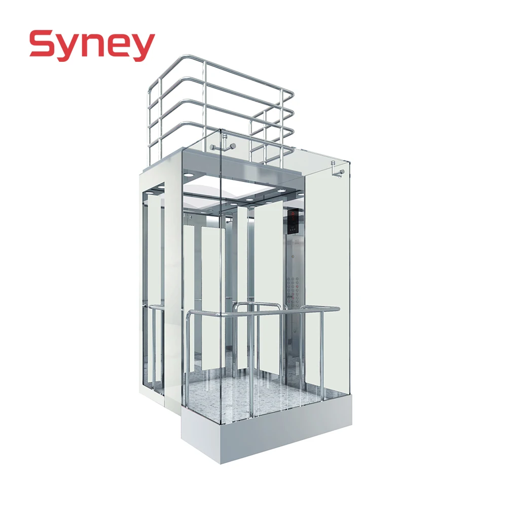 Residential Home Elevator Safety Lift Panoramic Glass Large Capacity Customized Passenger Elevator