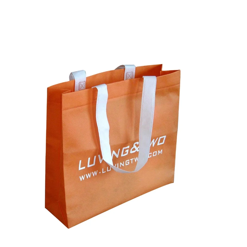 Non Woven Conference Bag Designer Cheap Shoe Bags