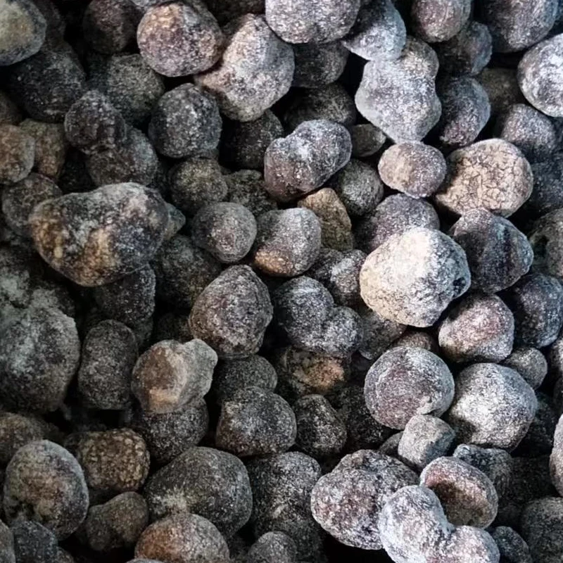 Detan High quality frozen black truffle with low price Frozen melanosporum