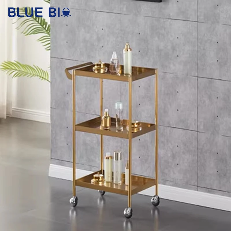 High Quality Stainless Steel Salon Beauty Cart Foldable Multi-function Beauty Trolley Hair Salon Trolley