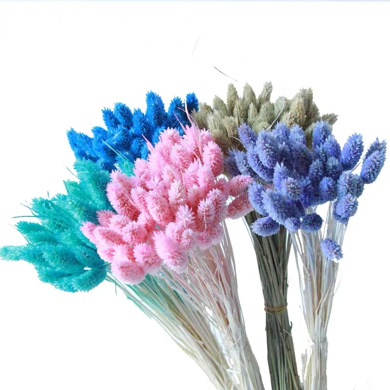 Factory Dried flower Jewelry grass for preserved flower arrangement