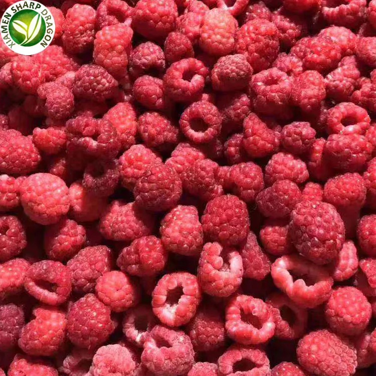 IQF Bulk price red  fruit frozen raspberries in syrup