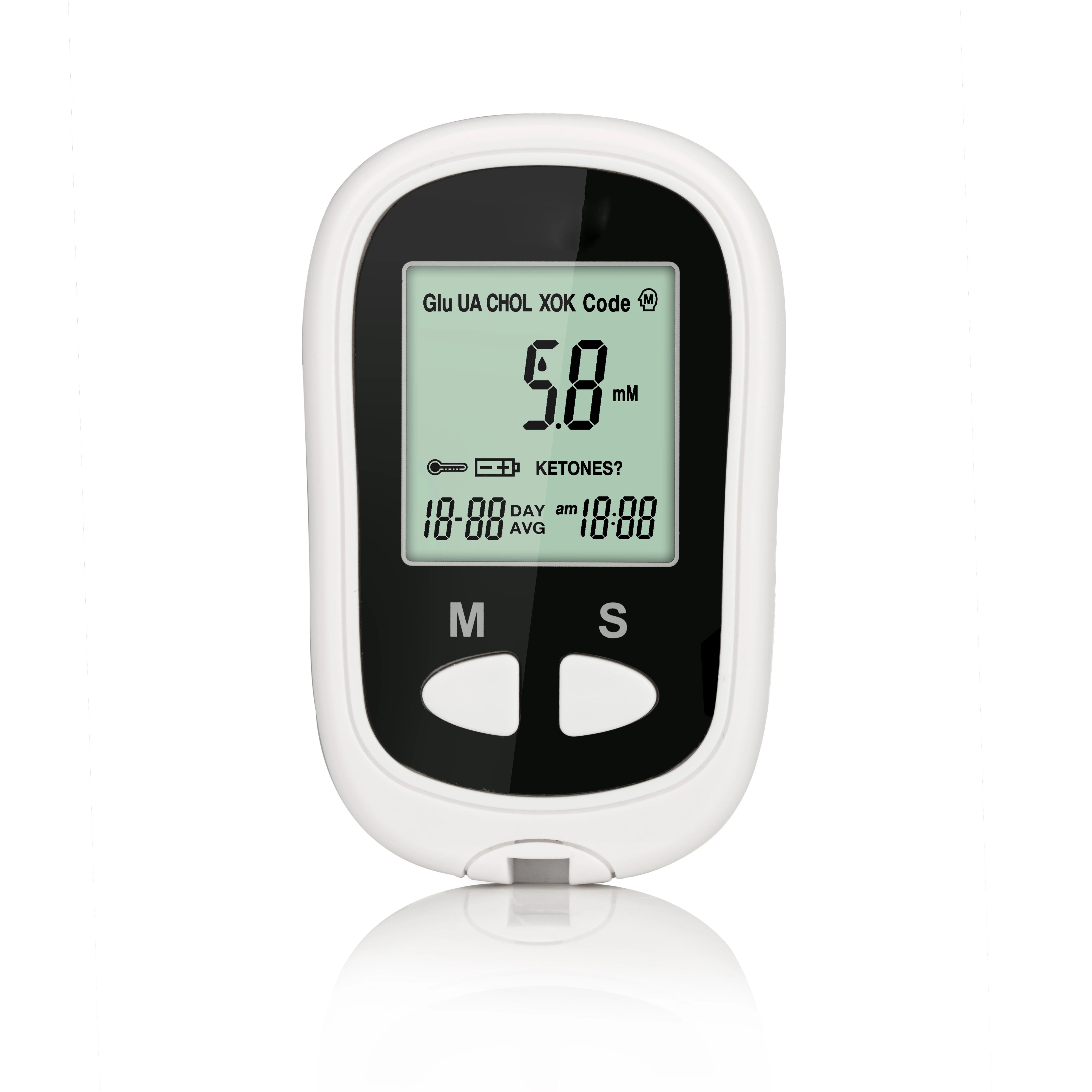 Display screen blood glucose monitor with blood glucose test strip