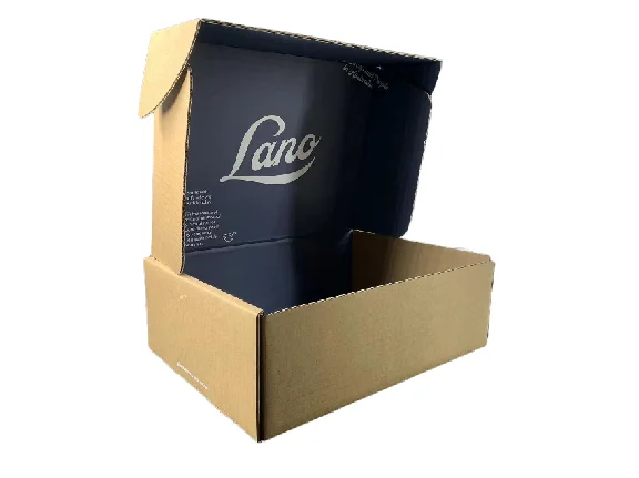 retail manufacturer Foldable Folding inside printed pattern box Storage Plastic shoe corrugated box