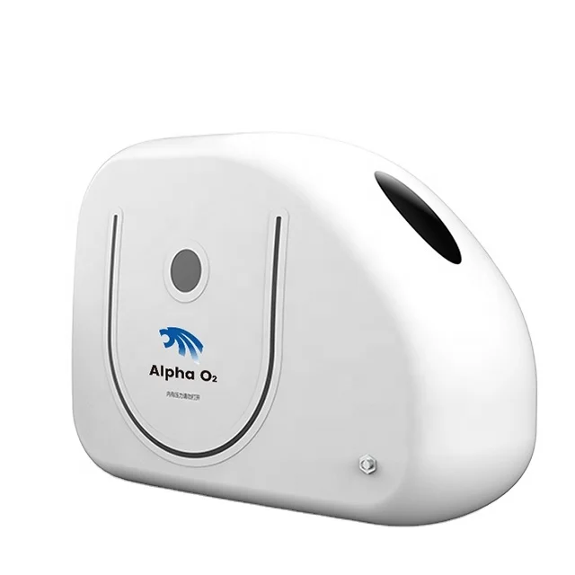 Hyperbaric Oxygen Chamber PRC Manufacturer Medical Supplies HBOT Natural Therapy Oxygen Health System