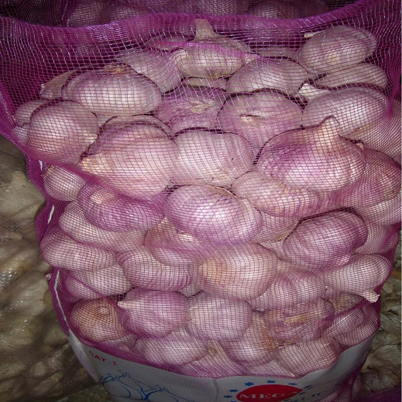 Factory Direct Hot Sale Pure White Normal White Fresh Garlic Normal Size 4.5 5.0 5.5 6.0cm