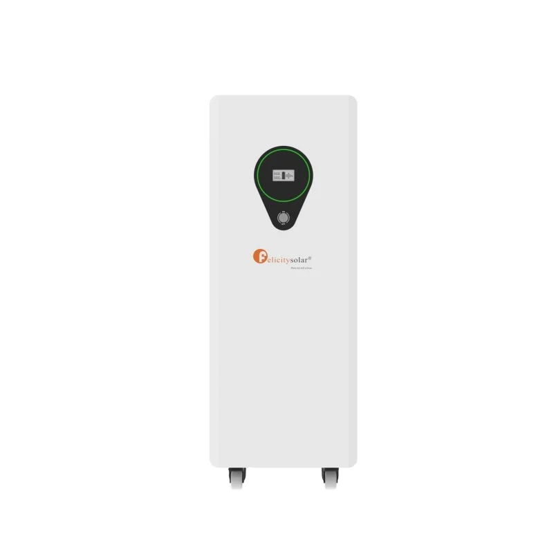 New Battery Felicity 48V 350AH Lifepo4 Battery Pack Box 17.5kwh BMS Solar Storage Battery
