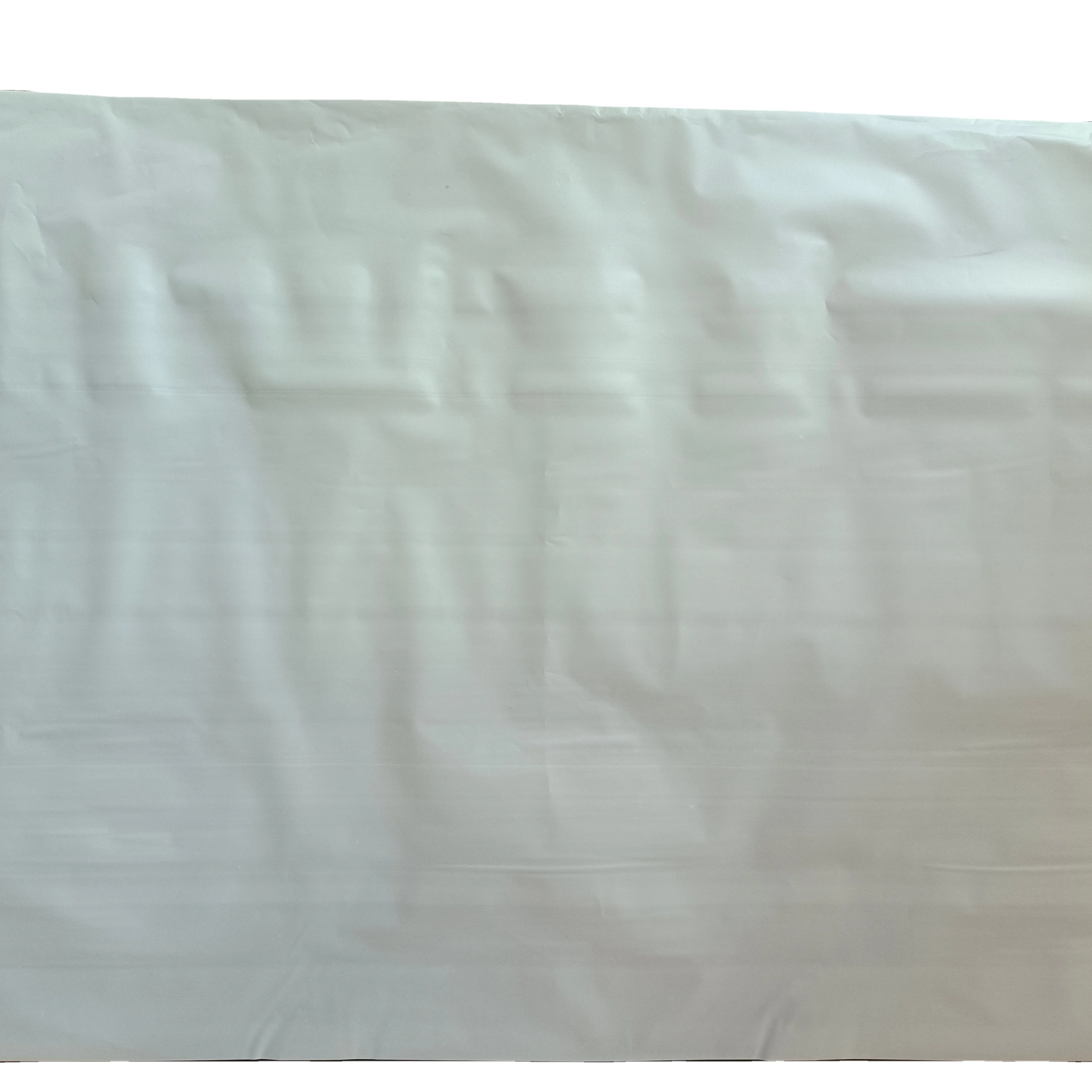 Wholesale biological Eco-Friendly PLA reducing packaging bag for widely use, 10 inch biodegradable bag