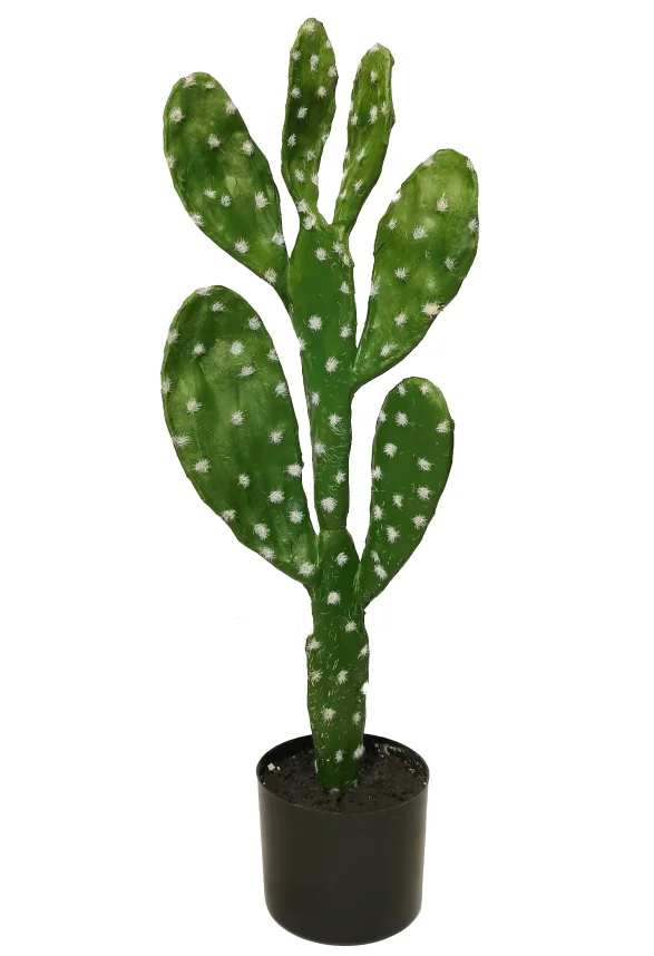 Hot Selling Cheap Indoor Tropical Plants Small Potted Desert Plant Bonsai Artificial Succulent Cactus