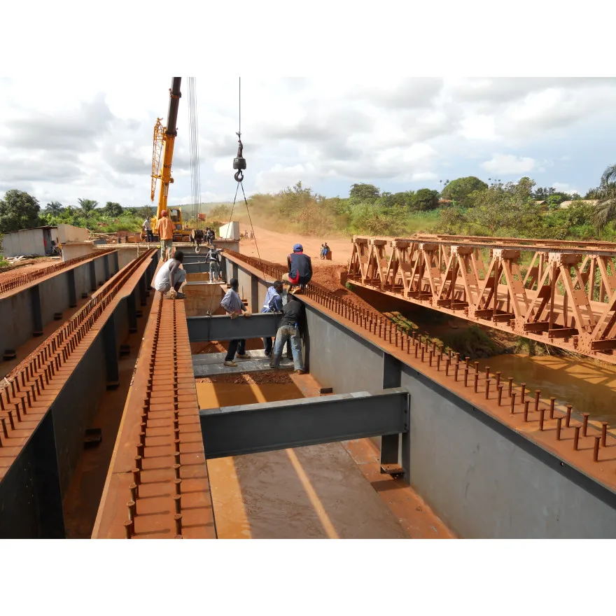 Professional light steel building structure materials for construction