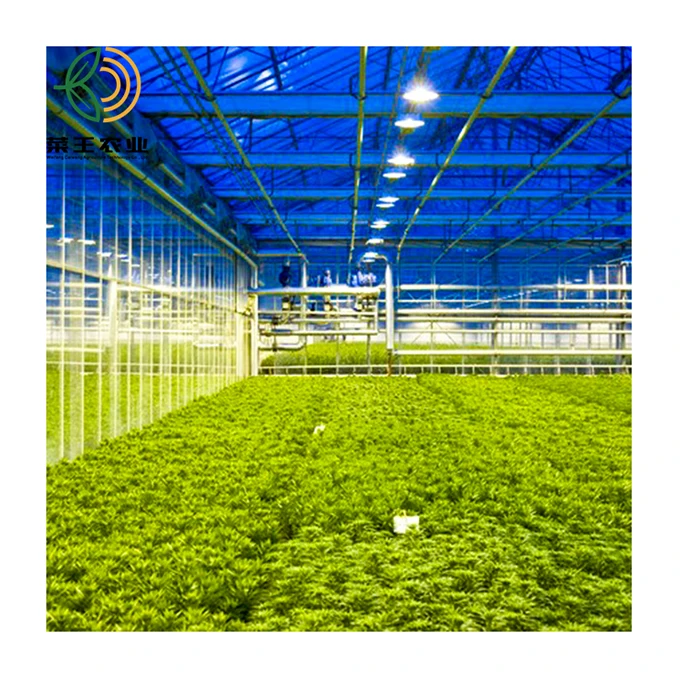 
Commercial greenhouse cost fully blackout film covered greenhouse for herb planting 