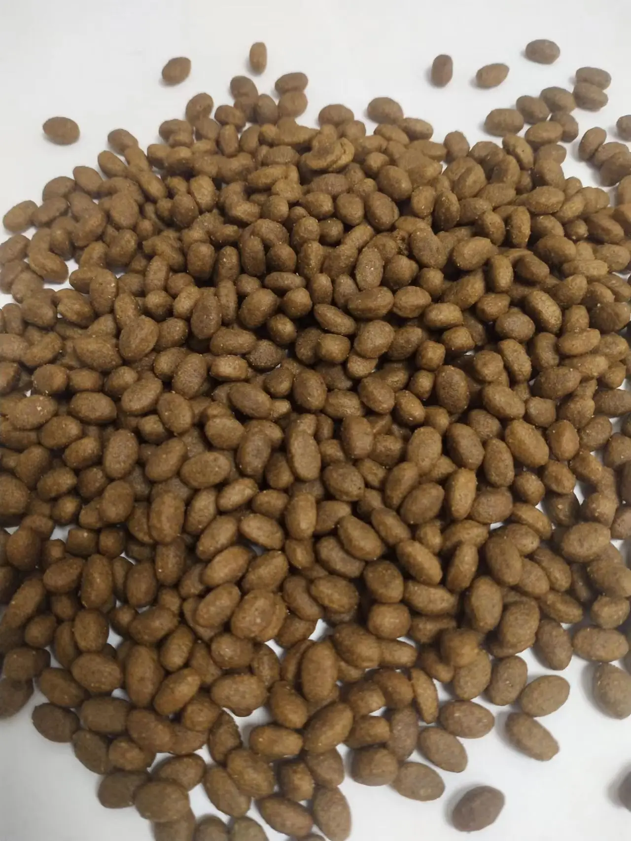 China Quality Manufacturer Factory wholesale pet food dry dog food Mr Pet full nutrition puppy dog food/Factory price