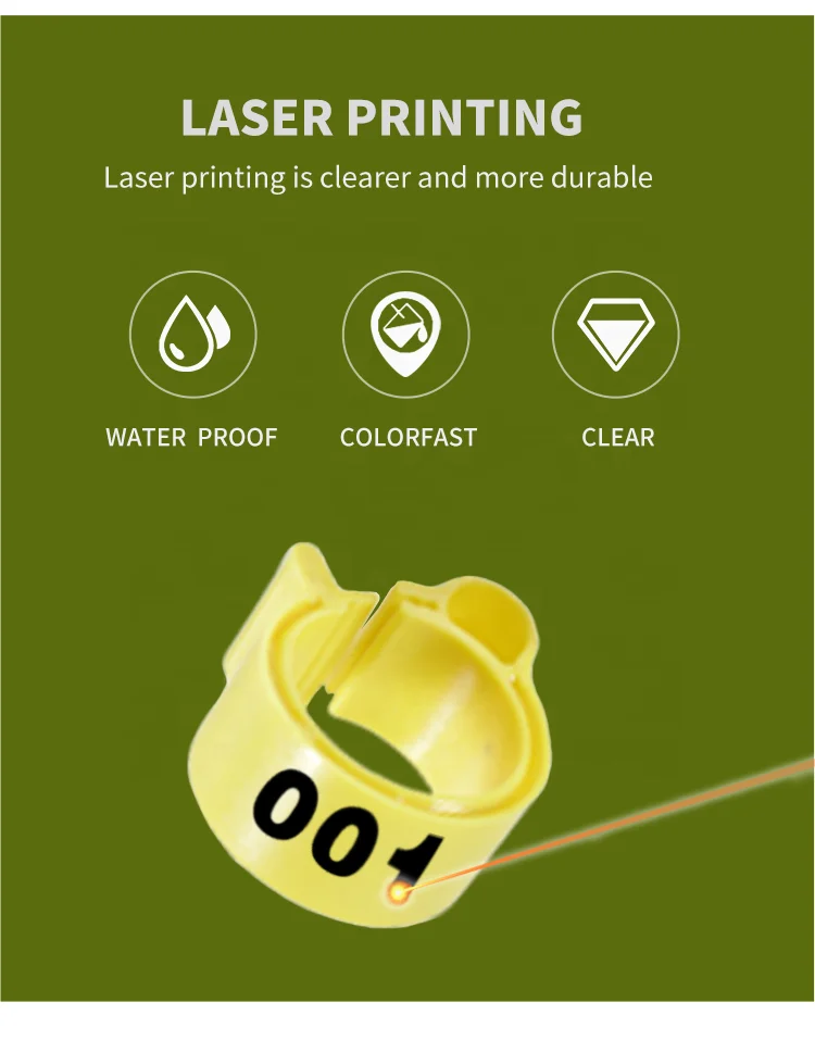 F-006 Animal Bird Parrot Finger Ring Customized Pigeons Leg Ring Supplies Bird Pigeon Foot Rings