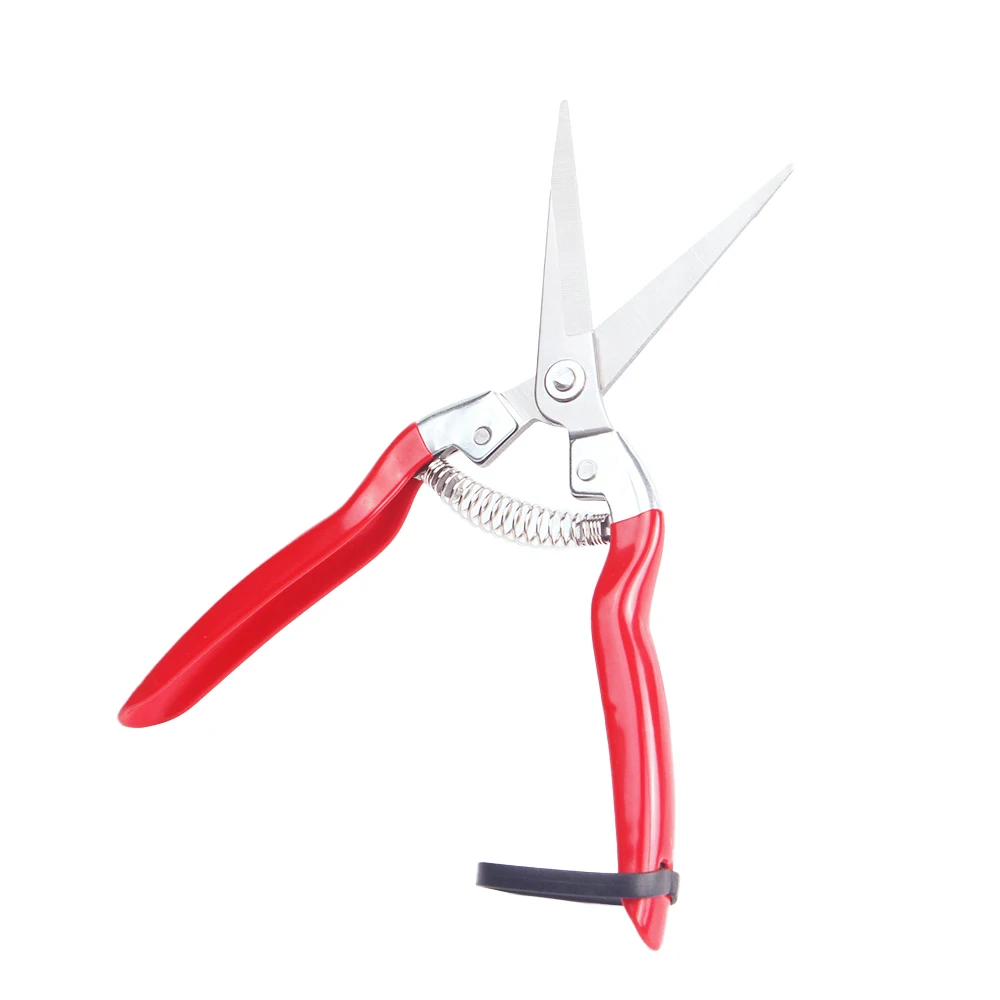 Grape Pruning Scissors Pvc Handle Cutting Trimmer Forged Flower Scissors