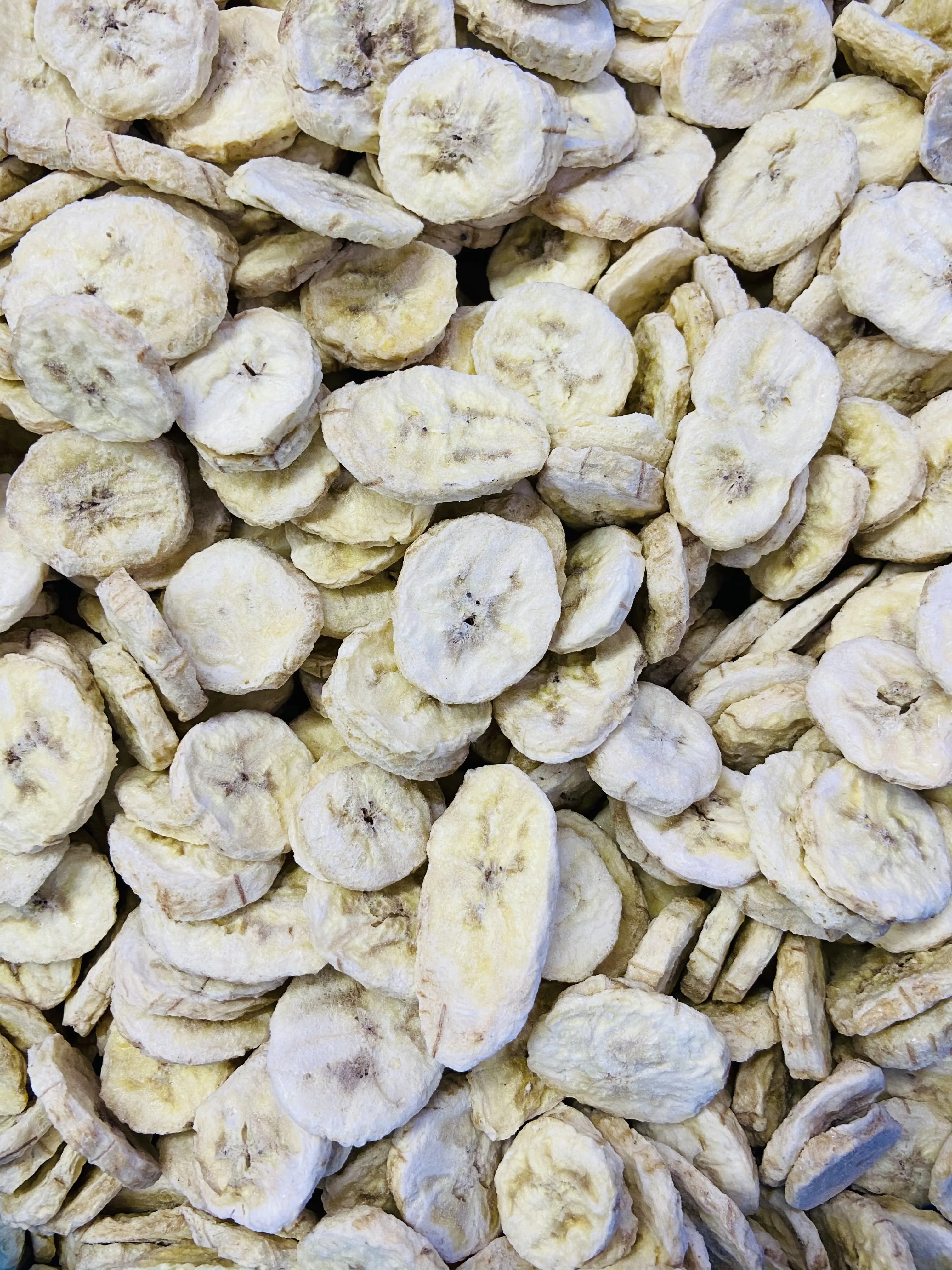 Wholesale Freeze Dried Banana Slice Dried Banana Chips