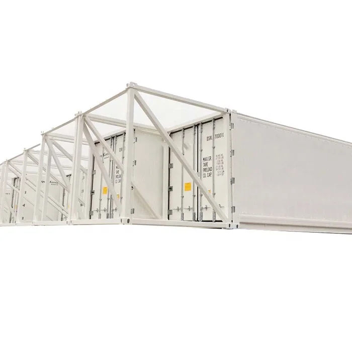 10.5m Vehicle-mounted Special Reefer Container Container Manufacturer Chilled Cargo 57.6 M3 CN;JIA DFIC