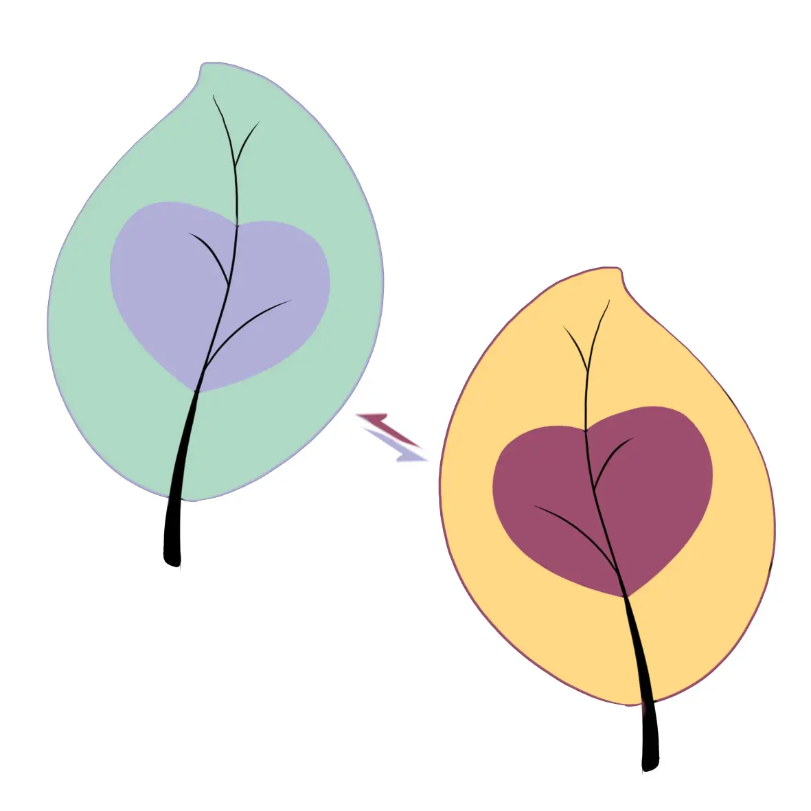 Cushion Cover Making Sublimation Digital Print Decoration Anime Body Pillow Donkey Plush Pillowcase Microfiber Pillowcase