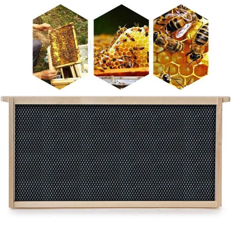 10 Frame Medium Super Box for Honey Bee Hives Beeswax Coated Bee Frames with Plastic Rite-Cell Foundation Sheet