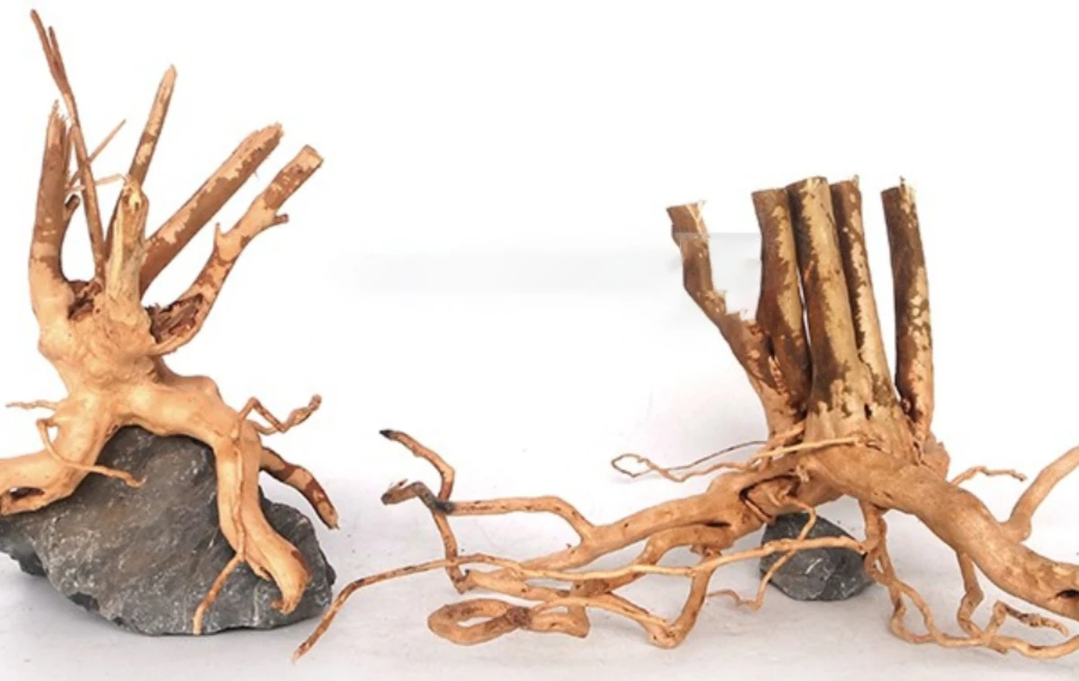 Wholesale Nature Decorative Tropical Rain Forest Tree Large Bonsai Driftwood Tree