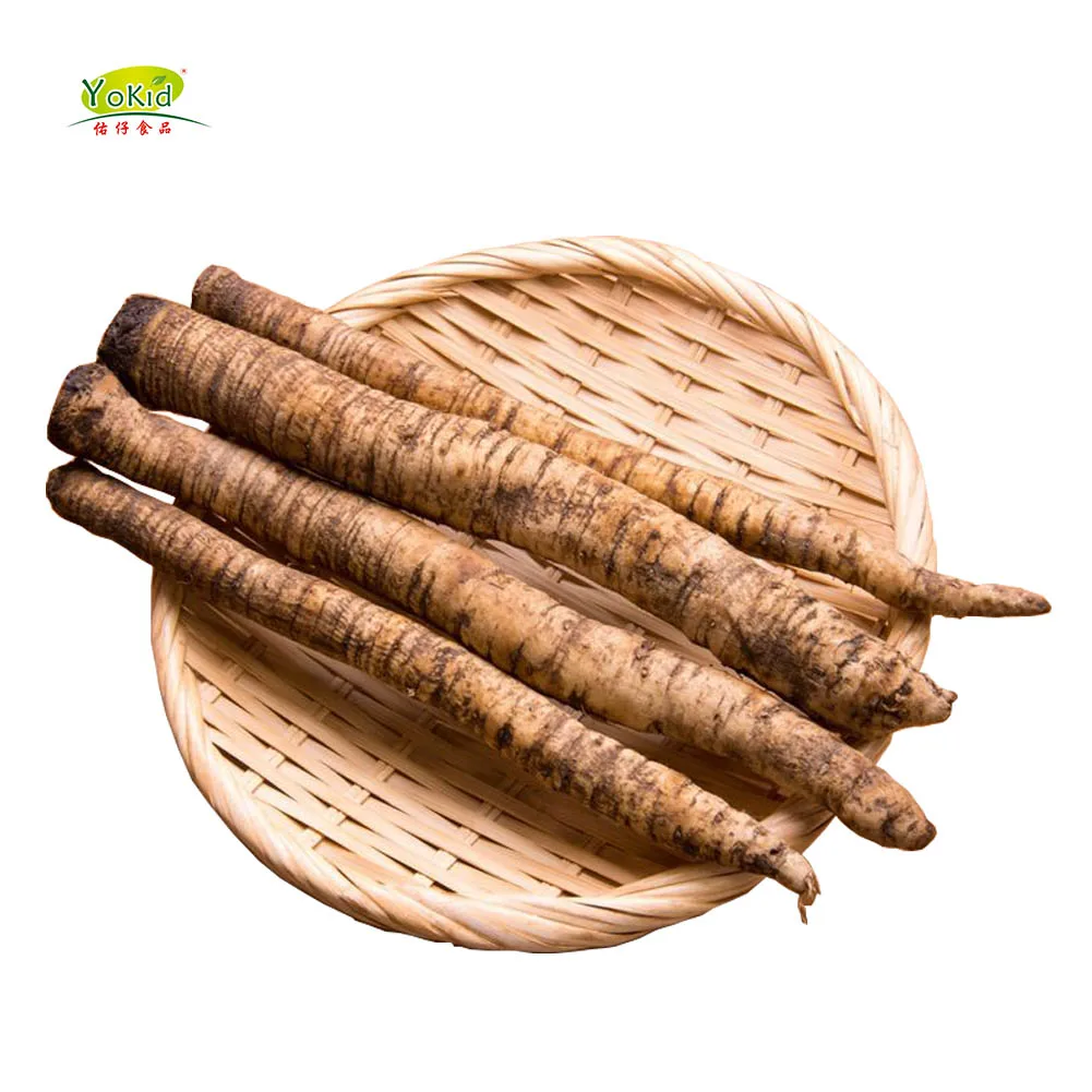 chinese fresh burdock root
