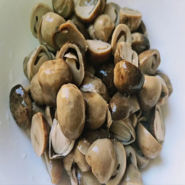 China Supplier Best Price Canned Straw Mushroom