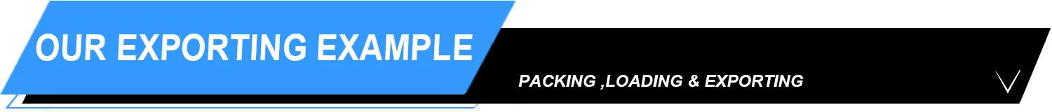 02 Exporing & Package.jpg