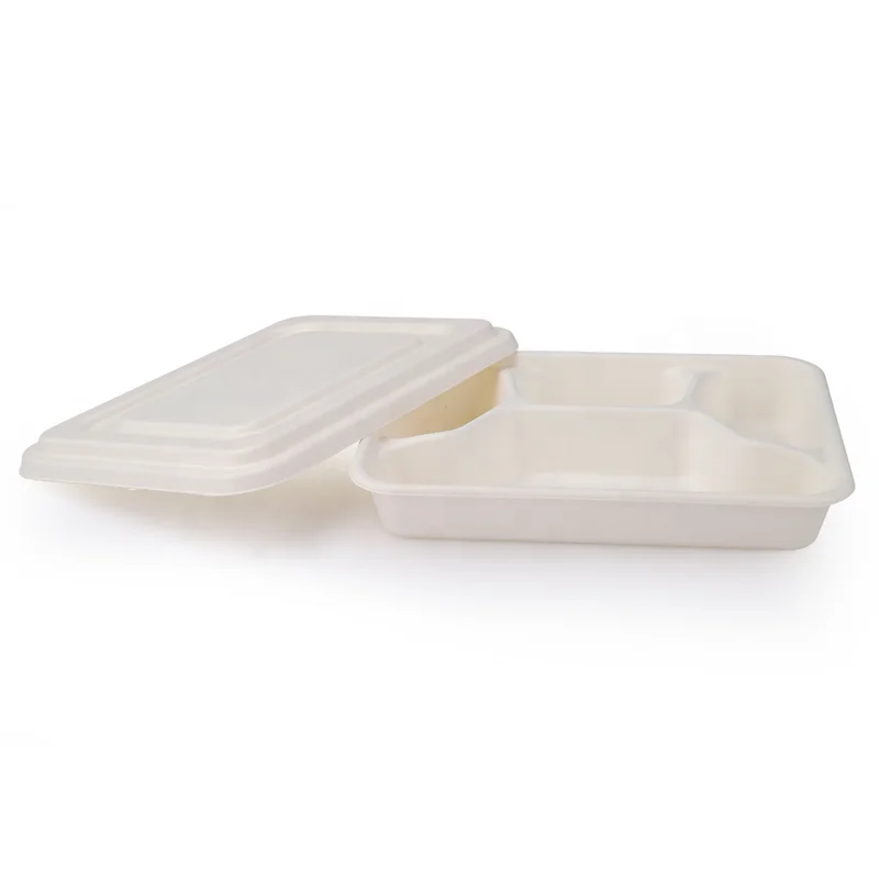 sugarcane bagasse disposable food container bagasse pulp rectangle plate straw pulp biodegradable tray