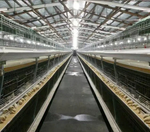 Четырехъярусная h-образная стальная слоя клеток продаются в Нигерии