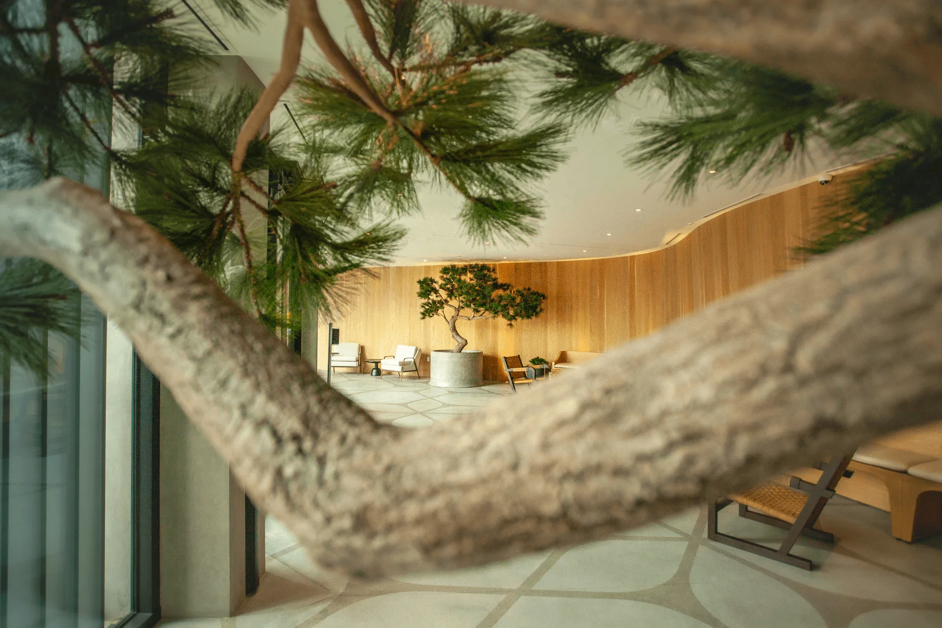 Custom Indoor Decorative Pine Trees Landscape Project Big Trunk Faux Willow Tree Fake Maple
