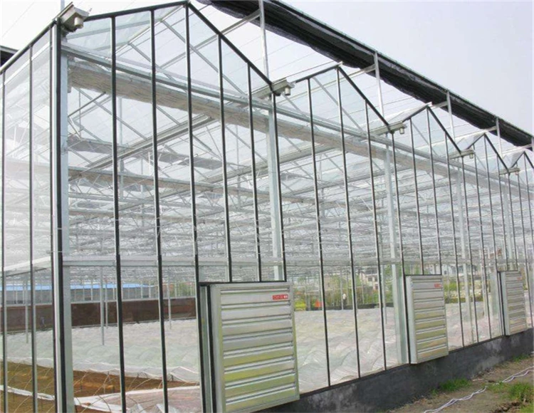 galvanized venlo greenhouse insulated tempered agriculture glass greenhouse