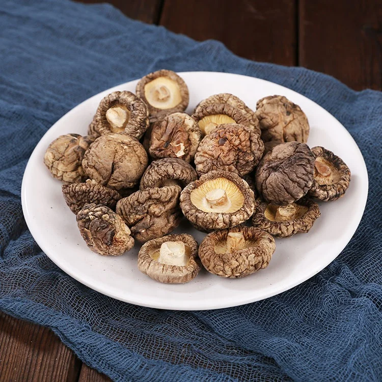 Mushroom compost Mushroom farm Mushroom prices