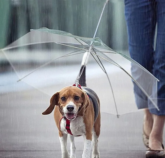 umbrella for dog pet dog umbrella